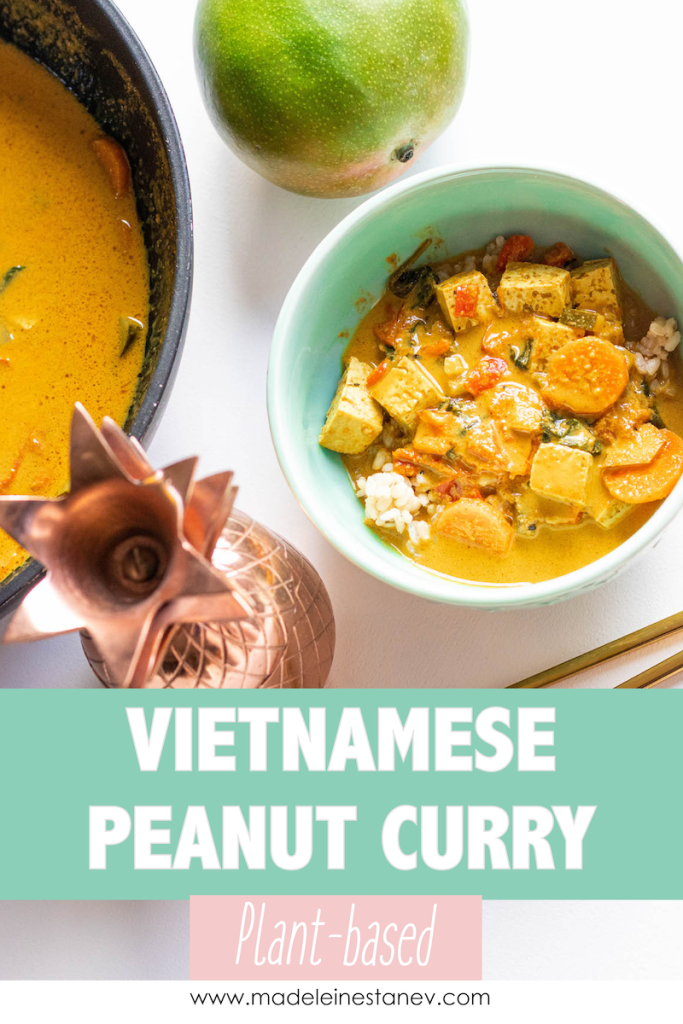 vietnamese peanut curry Pinterest Pin